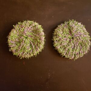 Vibrant Green and Purple Coasters